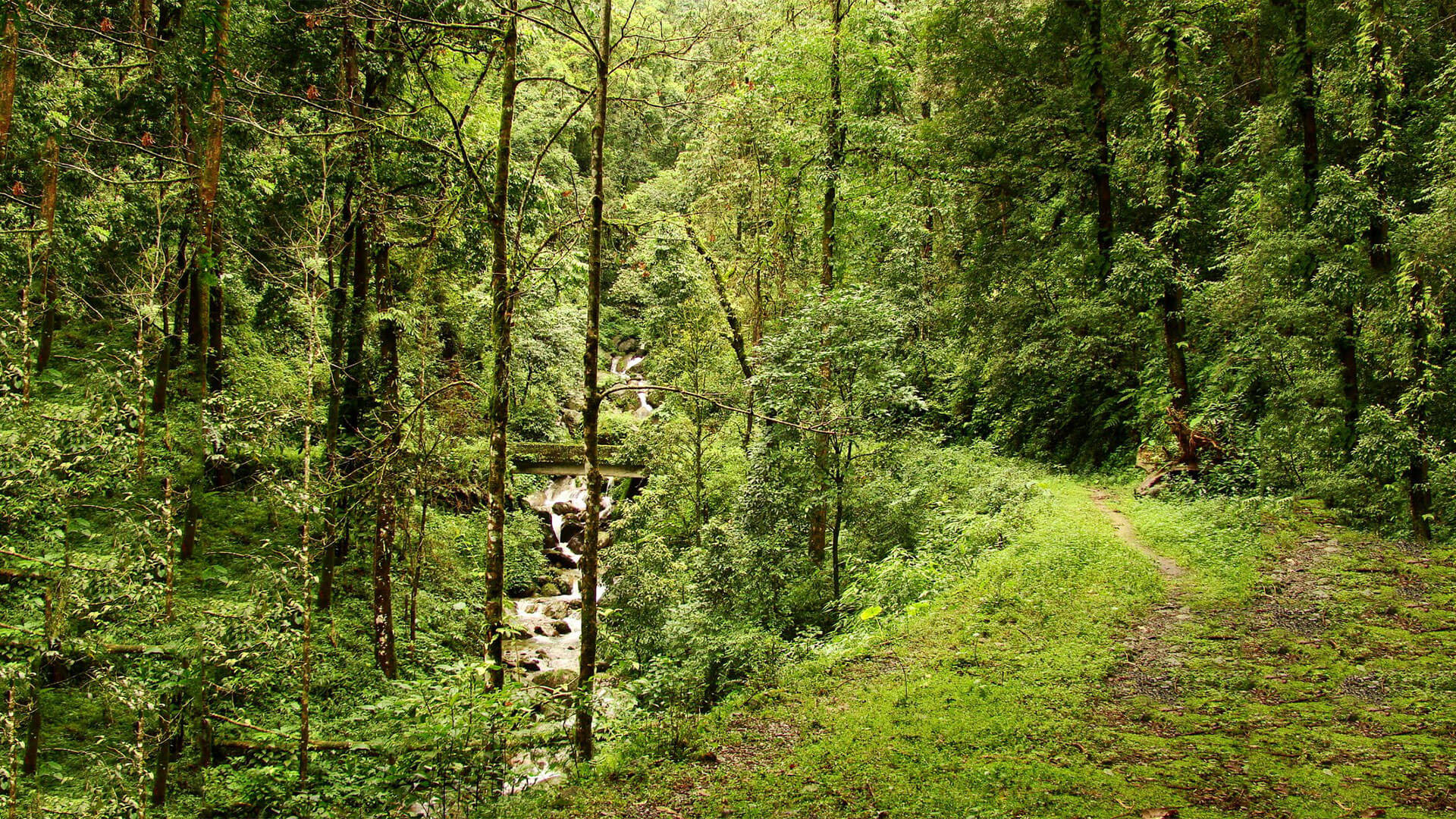 chilapata forest tour itinerary